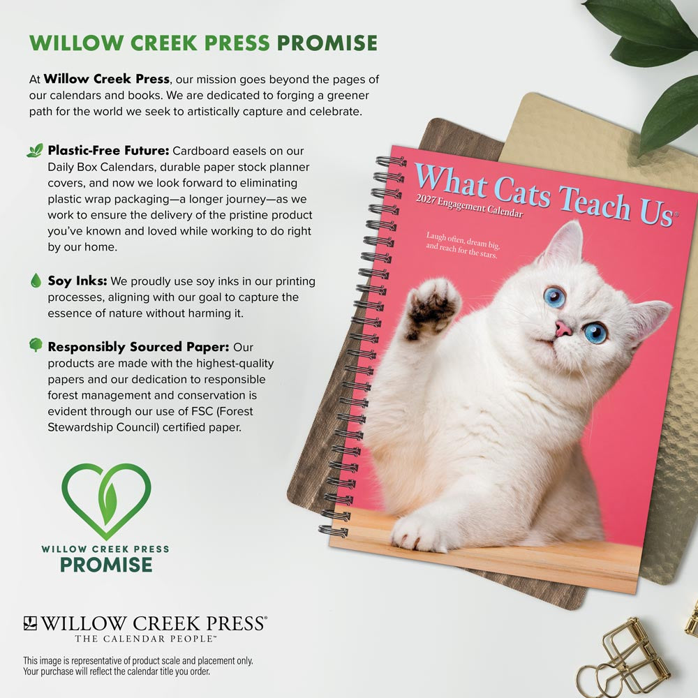 What Cats Teach Us 2027 Engagement Calendar