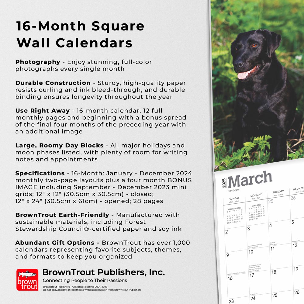 Labrador Retrievers X Inch Monthly Square Wall Calendar