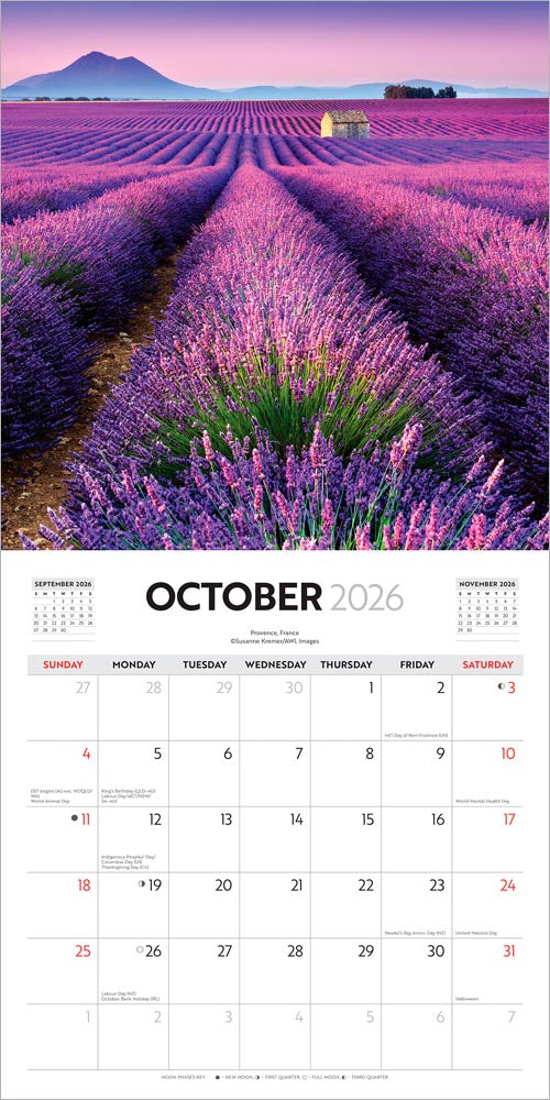I Love Travel | 2026 12 x 24 Inch (Hanging) Monthly Square Wall Calendar