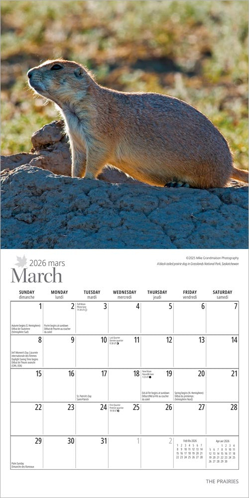 The Prairies | 2026 7 x 14 Inch (Hanging) Monthly Mini Wall Calendar