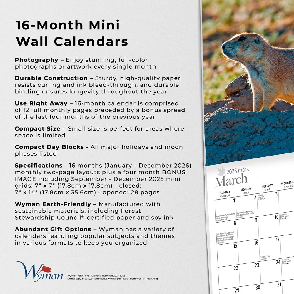 The Prairies | 2026 7 x 14 Inch (Hanging) Monthly Mini Wall Calendar