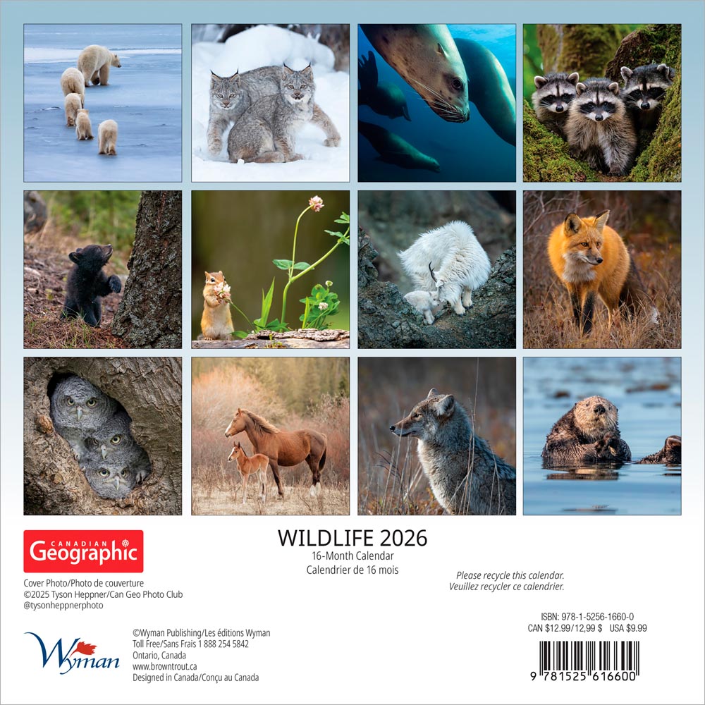 Canadian Geographic Wildlife OFFICIAL | 2026 7 x 14 Inch (Hanging) Monthly Mini Wall Calendar