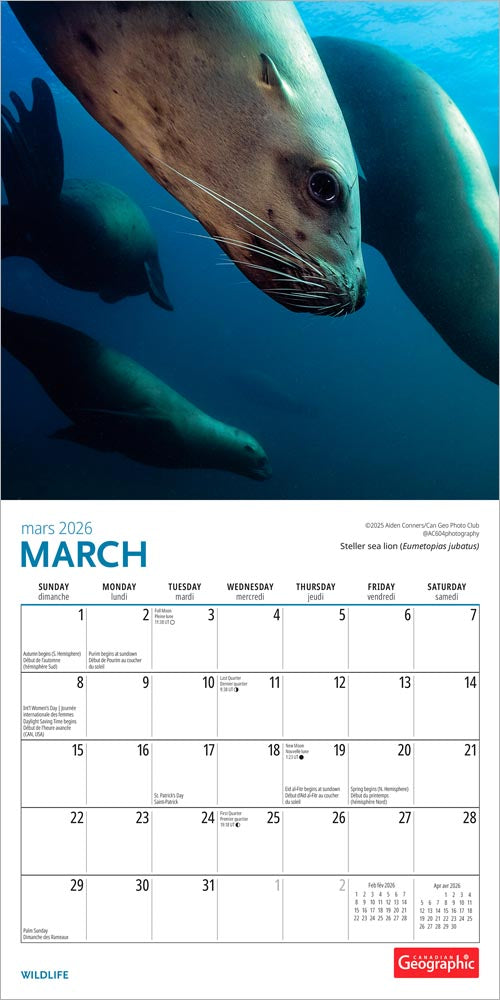Canadian Geographic Wildlife OFFICIAL | 2026 7 x 14 Inch (Hanging) Monthly Mini Wall Calendar