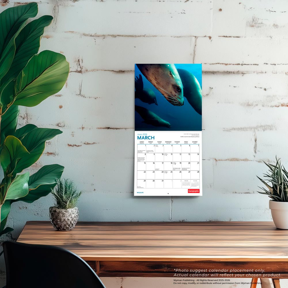 Canadian Geographic Wildlife OFFICIAL | 2026 7 x 14 Inch (Hanging) Monthly Mini Wall Calendar