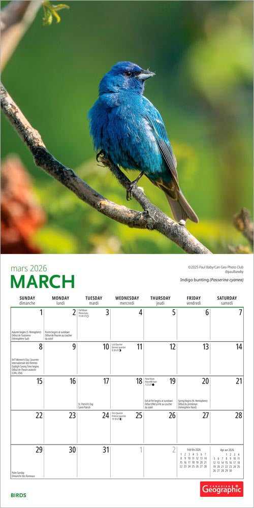 Canadian Geographic Birds OFFICIAL | 2026 7 x 14 Inch (Hanging) Monthly Mini Wall Calendar