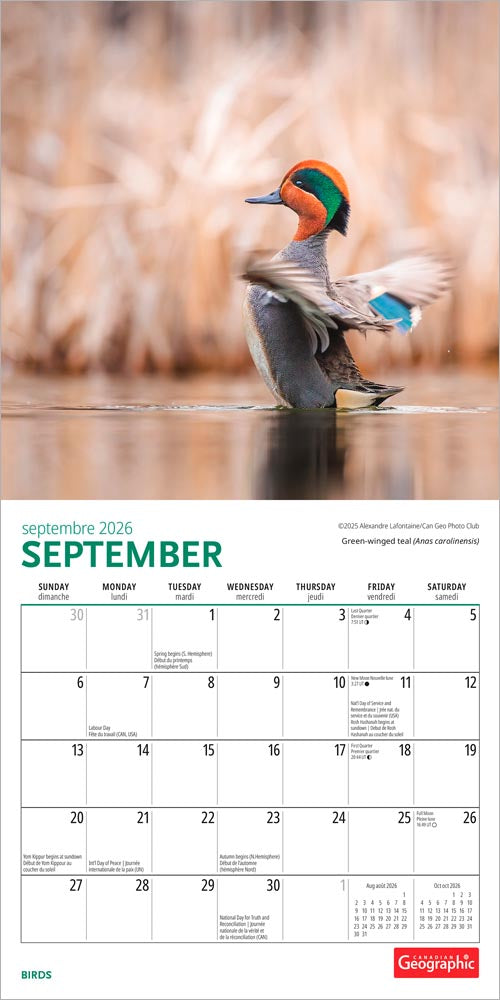 Canadian Geographic Birds OFFICIAL | 2026 7 x 14 Inch (Hanging) Monthly Mini Wall Calendar
