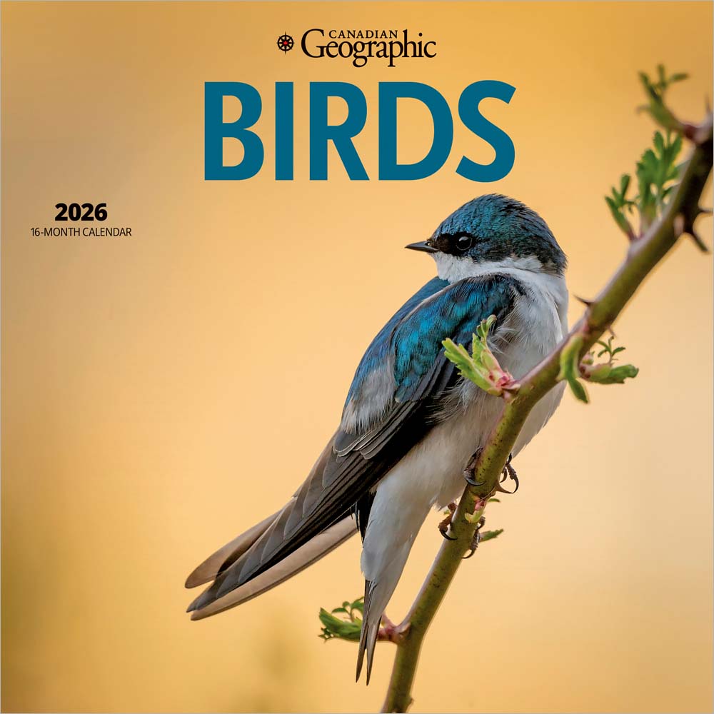 Canadian Geographic Birds OFFICIAL | 2026 7 x 14 Inch (Hanging) Monthly Mini Wall Calendar