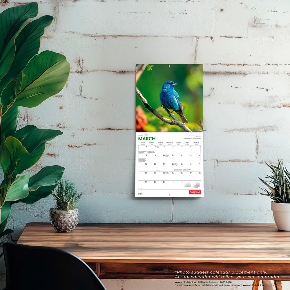 Canadian Geographic Birds OFFICIAL | 2026 7 x 14 Inch (Hanging) Monthly Mini Wall Calendar