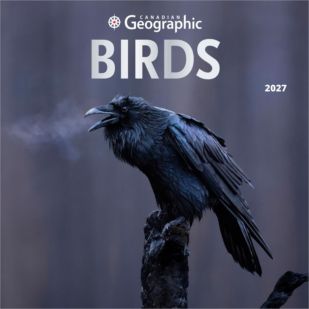 Canadian Geographic Birds OFFICIAL | 2027 12 x 24 Inch (Hanging) Monthly Square Wall Calendar | Foil Stamped Cover