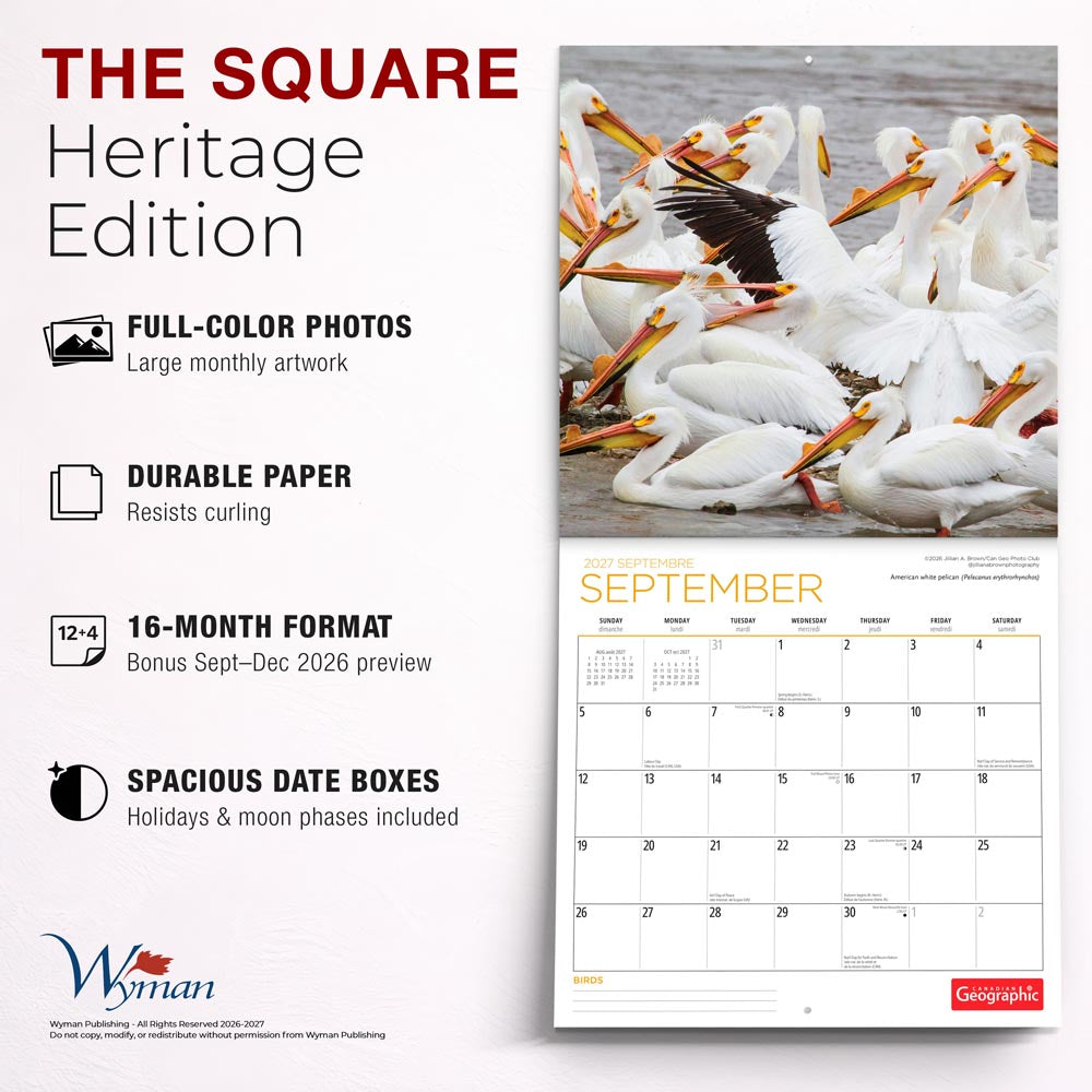 Canadian Geographic Birds OFFICIAL | 2027 12 x 24 Inch (Hanging) Monthly Square Wall Calendar | Foil Stamped Cover