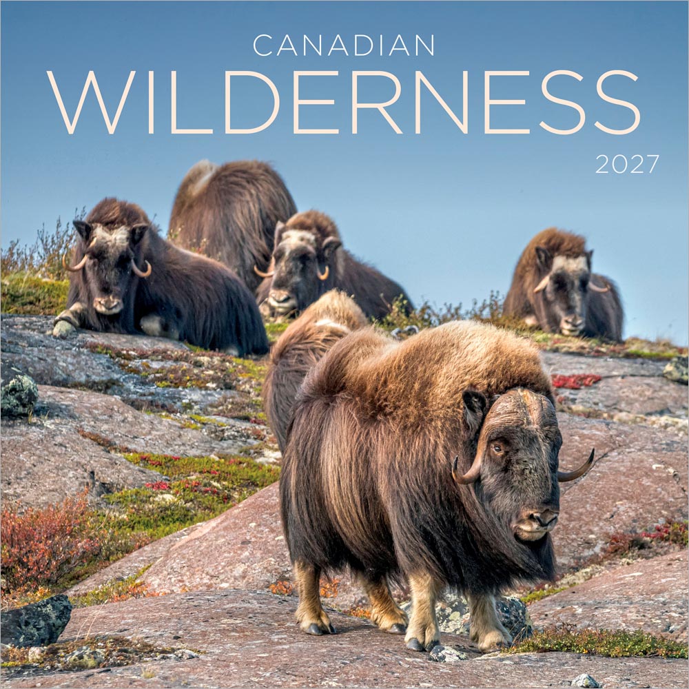 Canadian Wilderness | 2027 12 x 24 Inch (Hanging) Monthly Square Wall Calendar