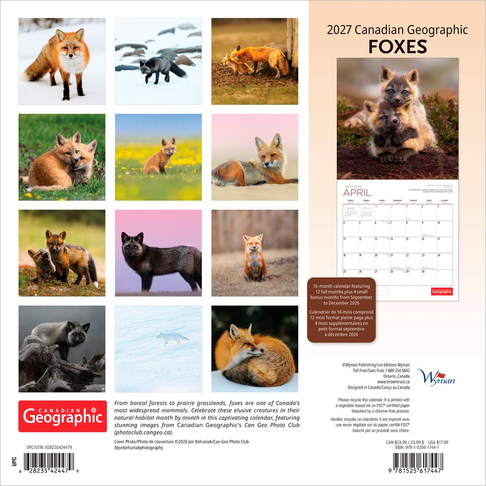 Canadian Geographic Foxes OFFICIAL | 2027 12 x 24 Inch (Hanging) Monthly Square Wall Calendar