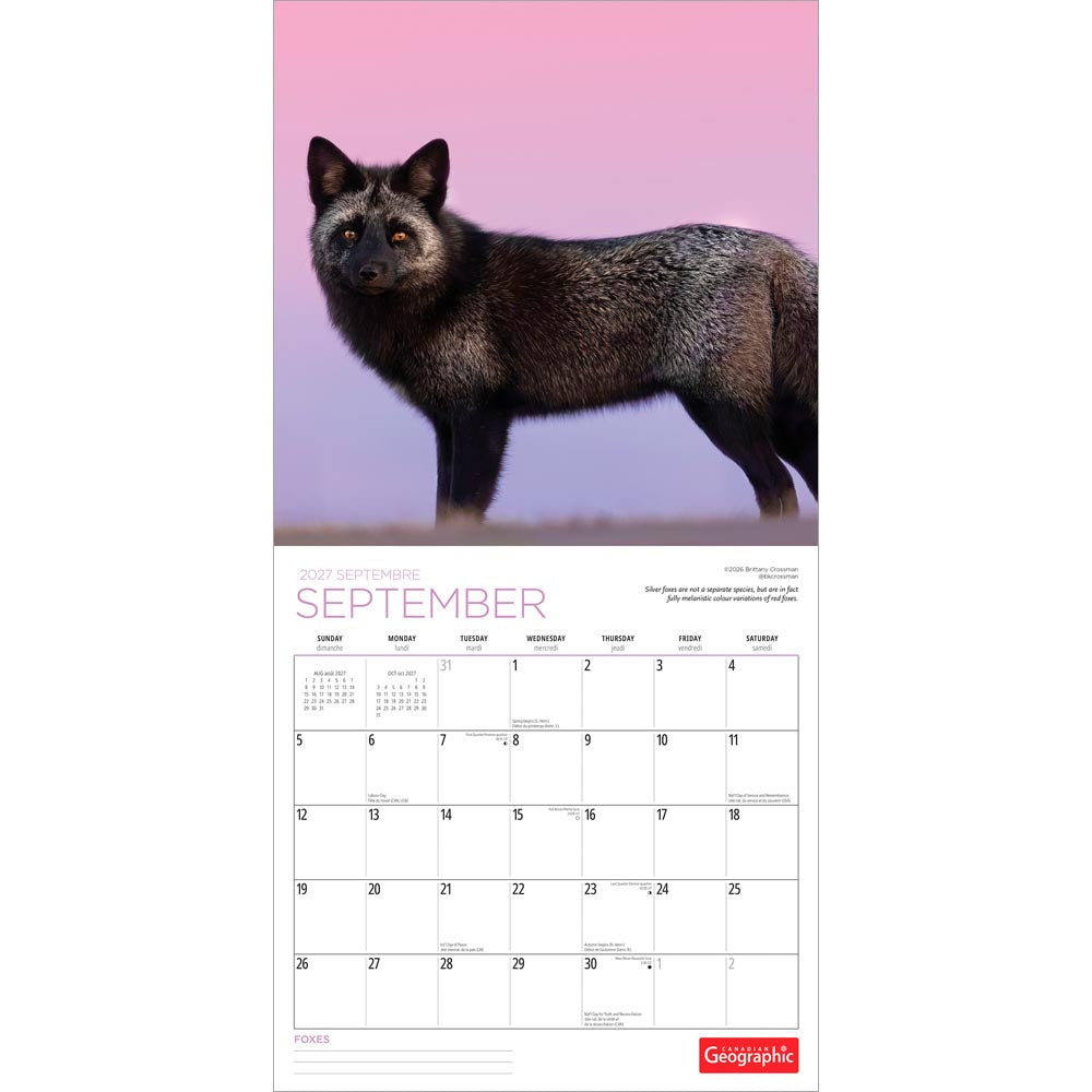 Canadian Geographic Foxes OFFICIAL | 2027 12 x 24 Inch (Hanging) Monthly Square Wall Calendar