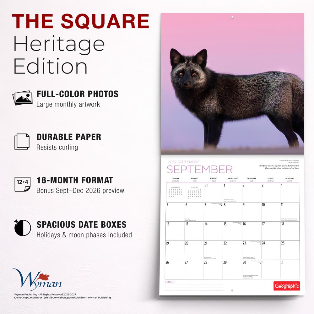 Canadian Geographic Foxes OFFICIAL | 2027 12 x 24 Inch (Hanging) Monthly Square Wall Calendar