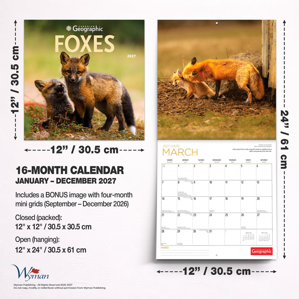 Canadian Geographic Foxes OFFICIAL | 2027 12 x 24 Inch (Hanging) Monthly Square Wall Calendar