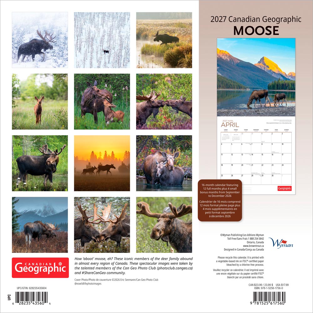 Canadian Geographic Moose OFFICIAL | 2027 12 x 24 Inch (Hanging) Monthly Square Wall Calendar