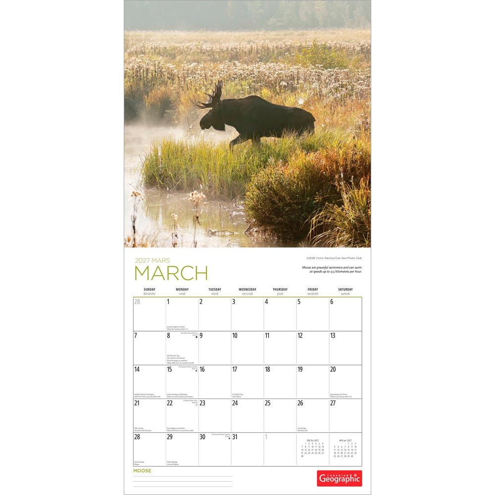Canadian Geographic Moose OFFICIAL | 2027 12 x 24 Inch (Hanging) Monthly Square Wall Calendar