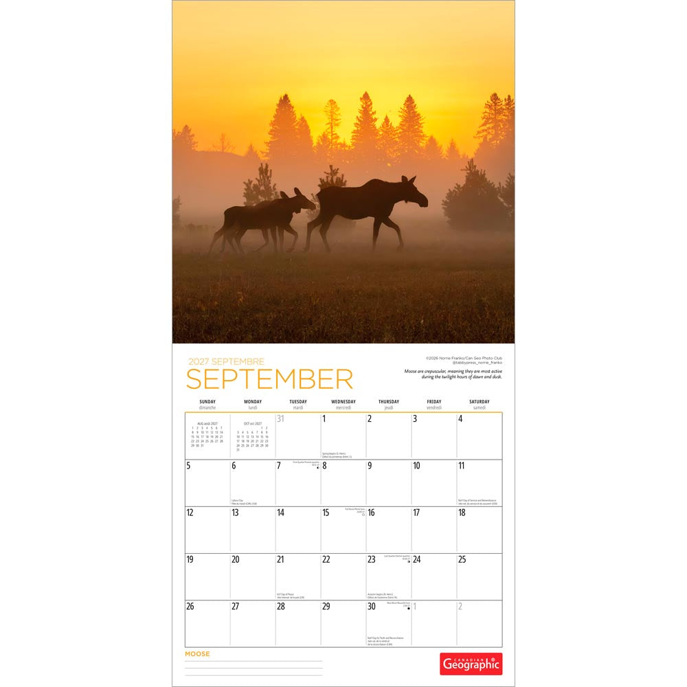 Canadian Geographic Moose OFFICIAL | 2027 12 x 24 Inch (Hanging) Monthly Square Wall Calendar