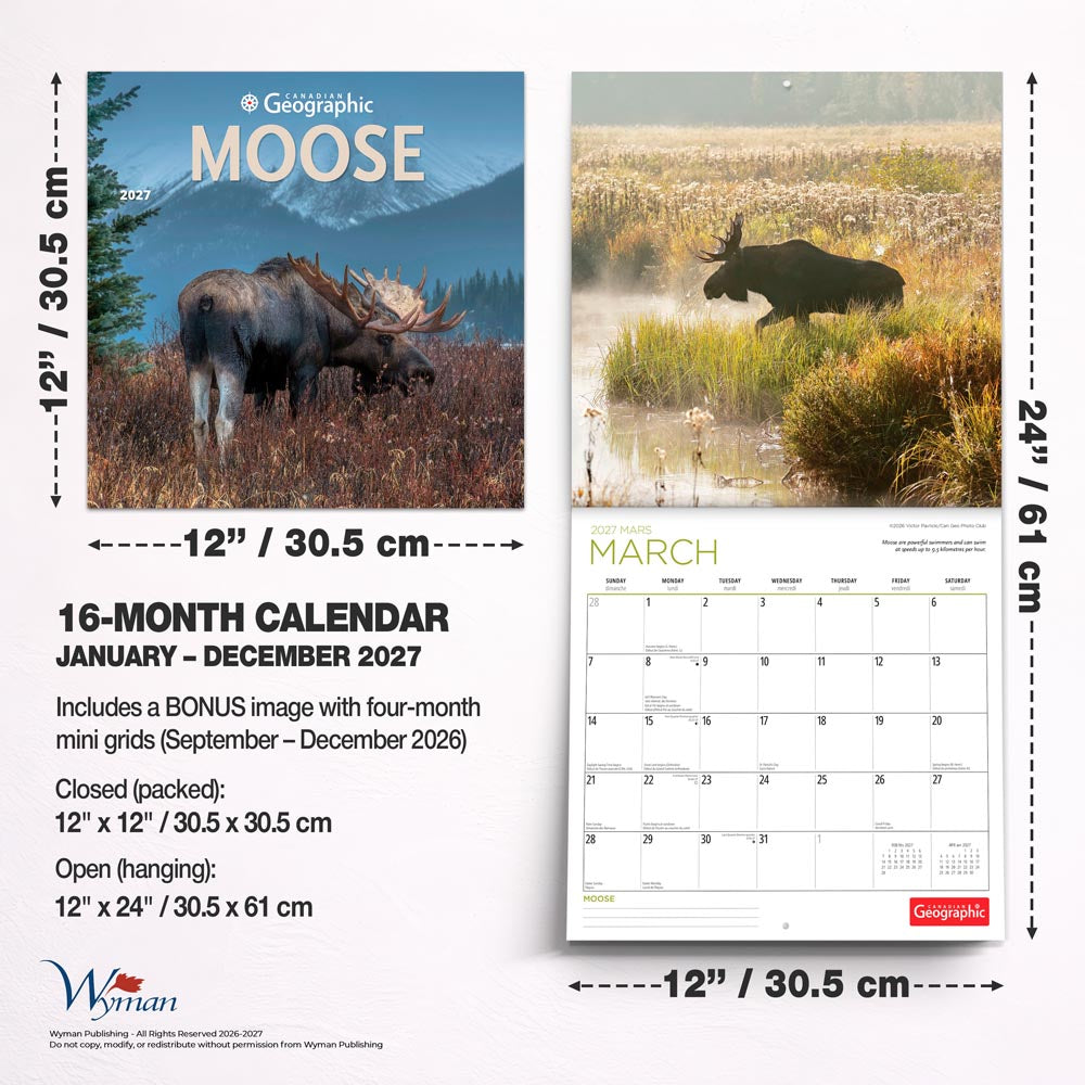 Canadian Geographic Moose OFFICIAL | 2027 12 x 24 Inch (Hanging) Monthly Square Wall Calendar