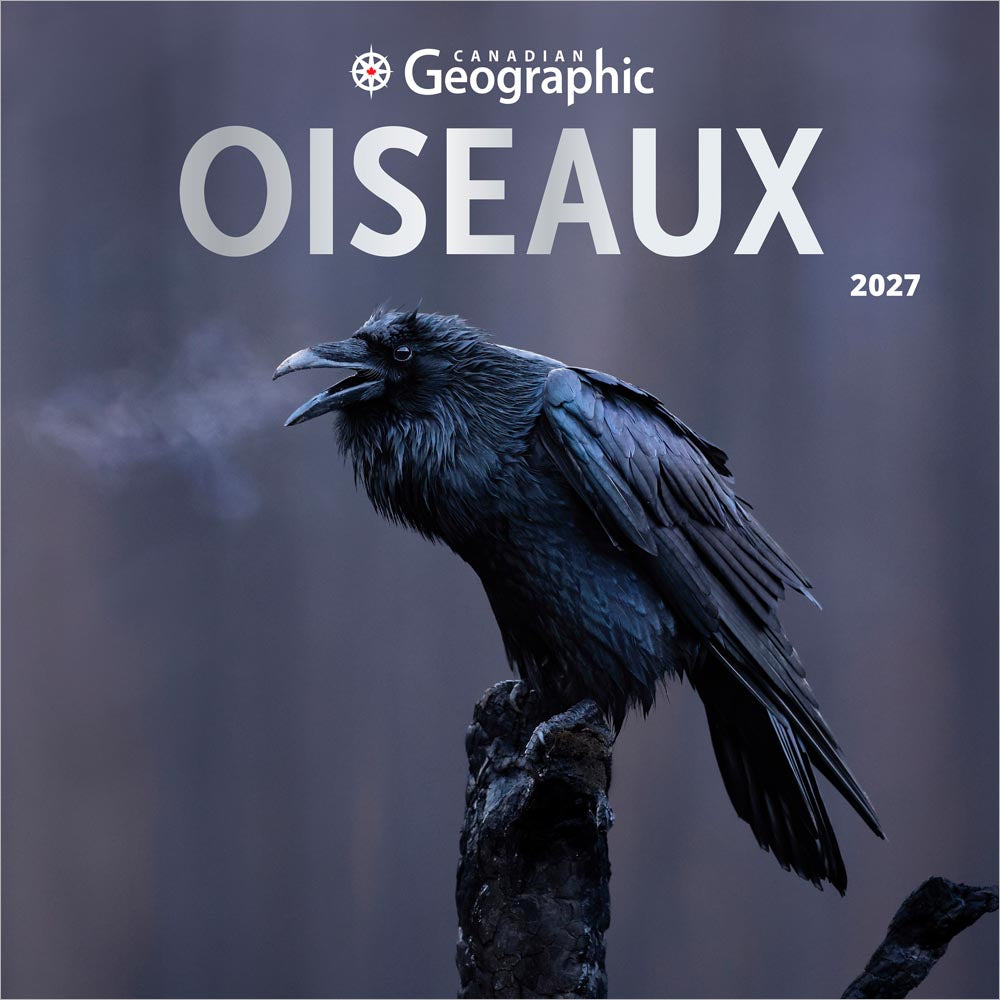 Canadian Geographic Oiseaux OFFICIEL | 2027 12 x 24 Inch (Hanging) Monthly Square Wall Calendar | Foil Stamped Cover | French Language