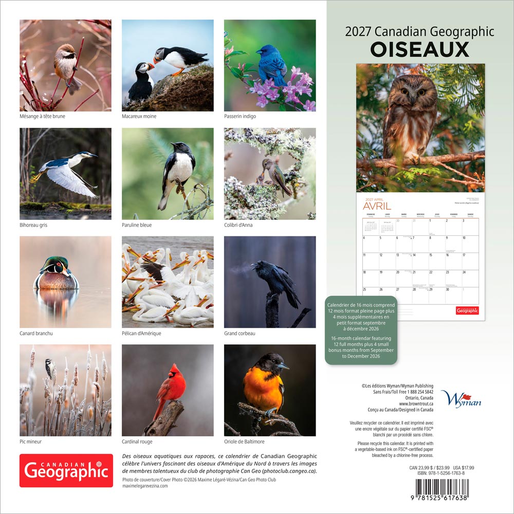 Canadian Geographic Oiseaux OFFICIEL | 2027 12 x 24 Inch (Hanging) Monthly Square Wall Calendar | Foil Stamped Cover | French Language