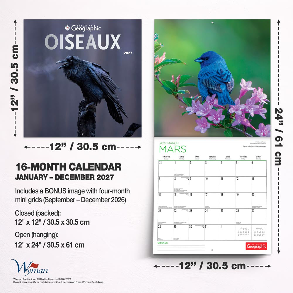 Canadian Geographic Oiseaux OFFICIEL | 2027 12 x 24 Inch (Hanging) Monthly Square Wall Calendar | Foil Stamped Cover | French Language