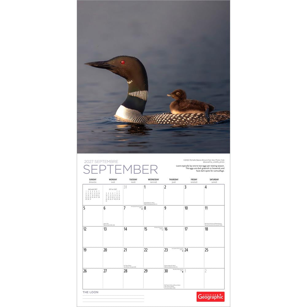 Canadian Geographic The Loon OFFICIAL | 2027 12 x 24 Inch (Hanging) Monthly Square Wall Calendar | Foil Stamped Cover