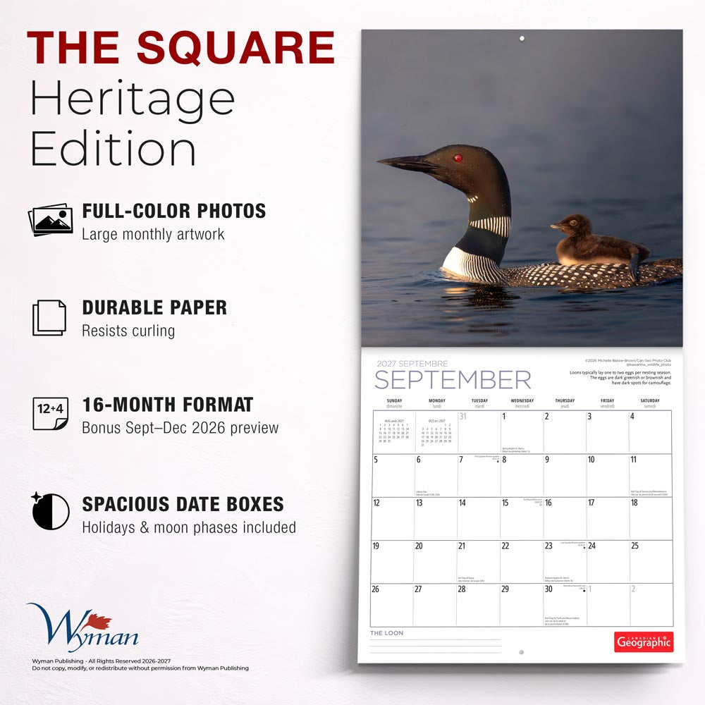 Canadian Geographic The Loon OFFICIAL | 2027 12 x 24 Inch (Hanging) Monthly Square Wall Calendar | Foil Stamped Cover