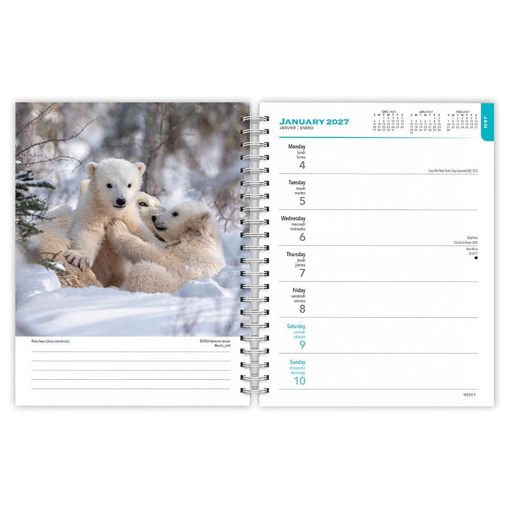 Canadian Geographic Wilderness Canada OFFICIAL | 2027 6 x 7.75 Inch Spiral-Bound Wire-O Weekly Engagement Planner Calendar | New Full-Color Image Every Week