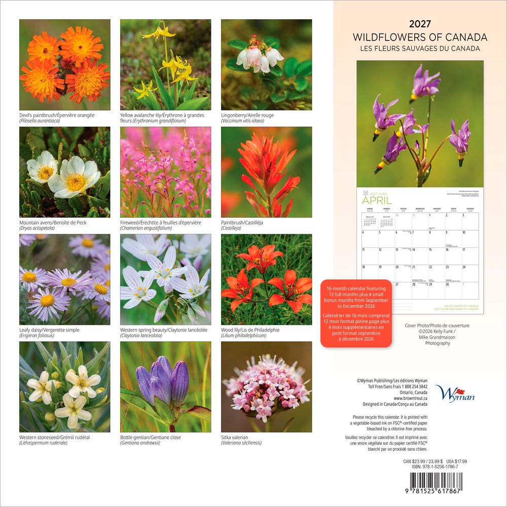 Wildflowers of Canada | 2027 12 x 24 Inch (Hanging) Monthly Square Wall Calendar | English/French Bilingual