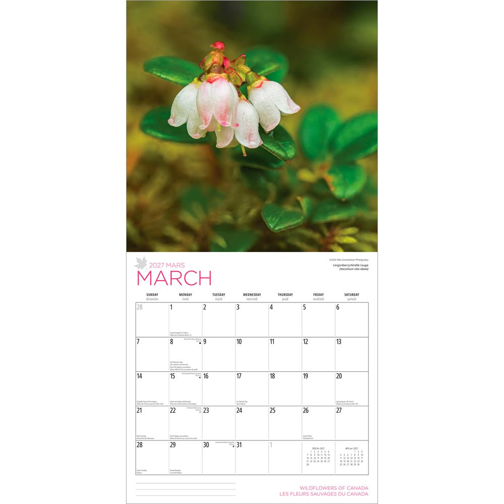 Wildflowers of Canada | 2027 12 x 24 Inch (Hanging) Monthly Square Wall Calendar | English/French Bilingual