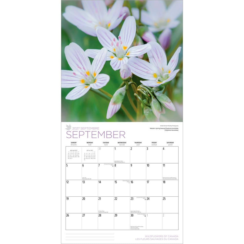 Wildflowers of Canada | 2027 12 x 24 Inch (Hanging) Monthly Square Wall Calendar | English/French Bilingual