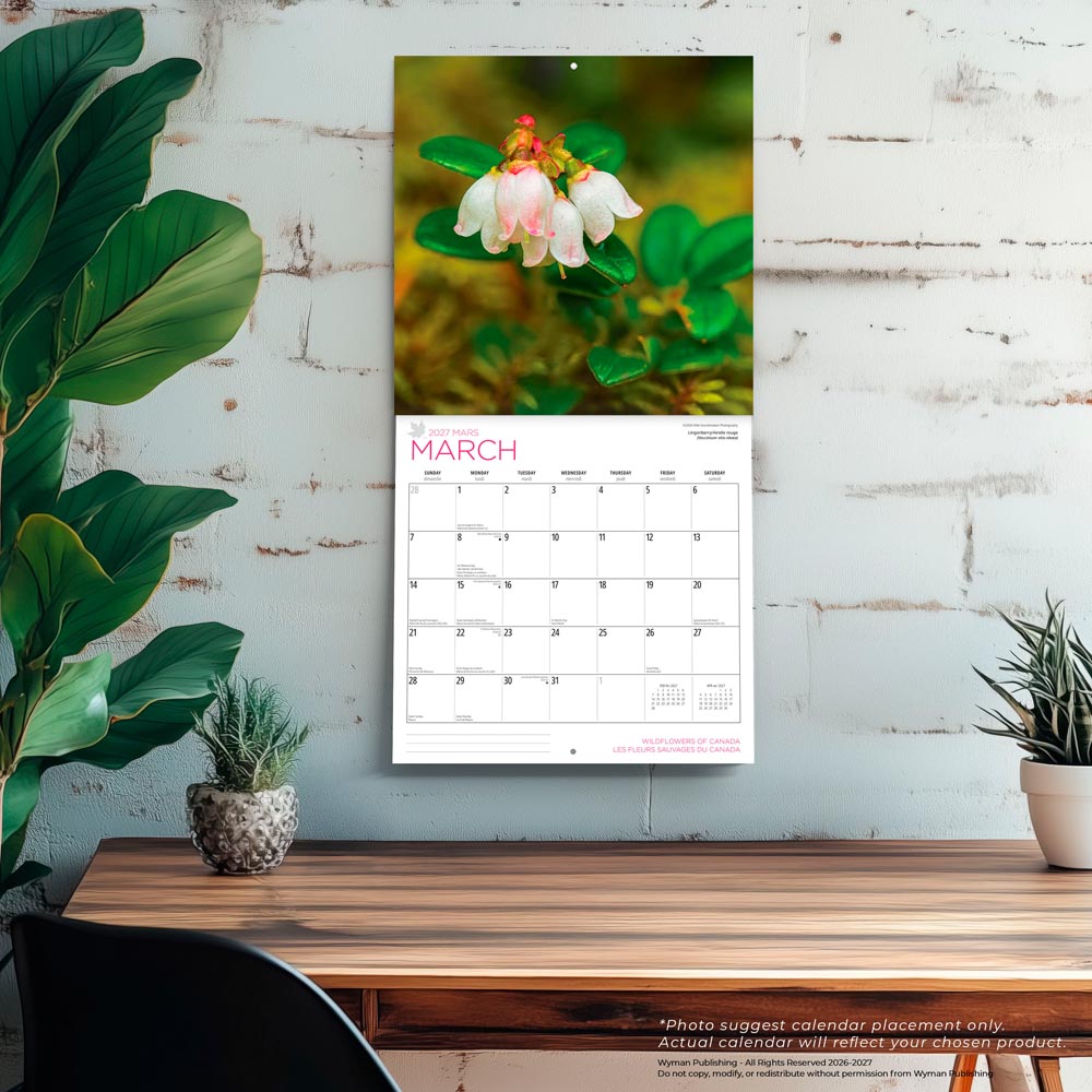 Wildflowers of Canada | 2027 12 x 24 Inch (Hanging) Monthly Square Wall Calendar | English/French Bilingual