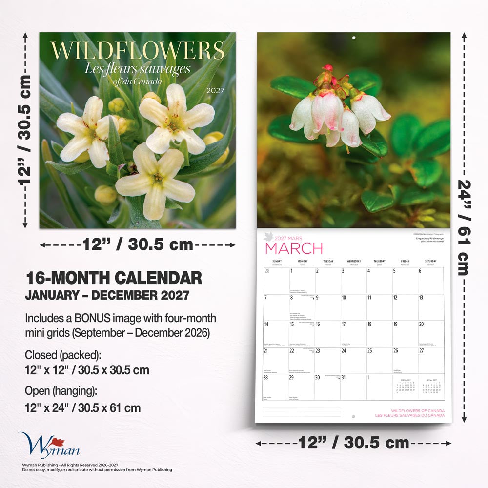 Wildflowers of Canada | 2027 12 x 24 Inch (Hanging) Monthly Square Wall Calendar | English/French Bilingual