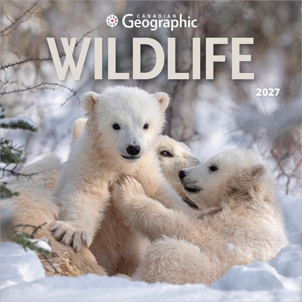Canadian Geographic Wildlife OFFICIAL | 2027 7 x 14 Inch (Hanging) Monthly Mini Wall Calendar