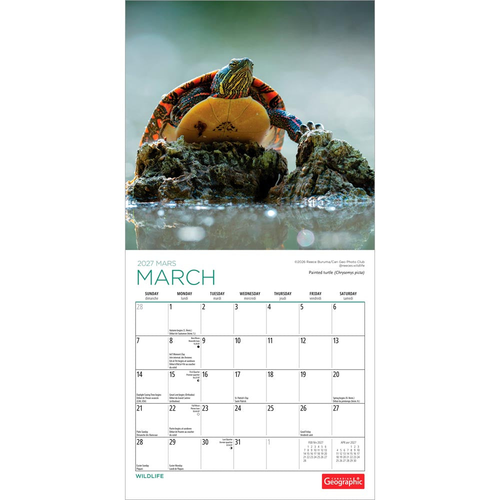 Canadian Geographic Wildlife OFFICIAL | 2027 7 x 14 Inch (Hanging) Monthly Mini Wall Calendar
