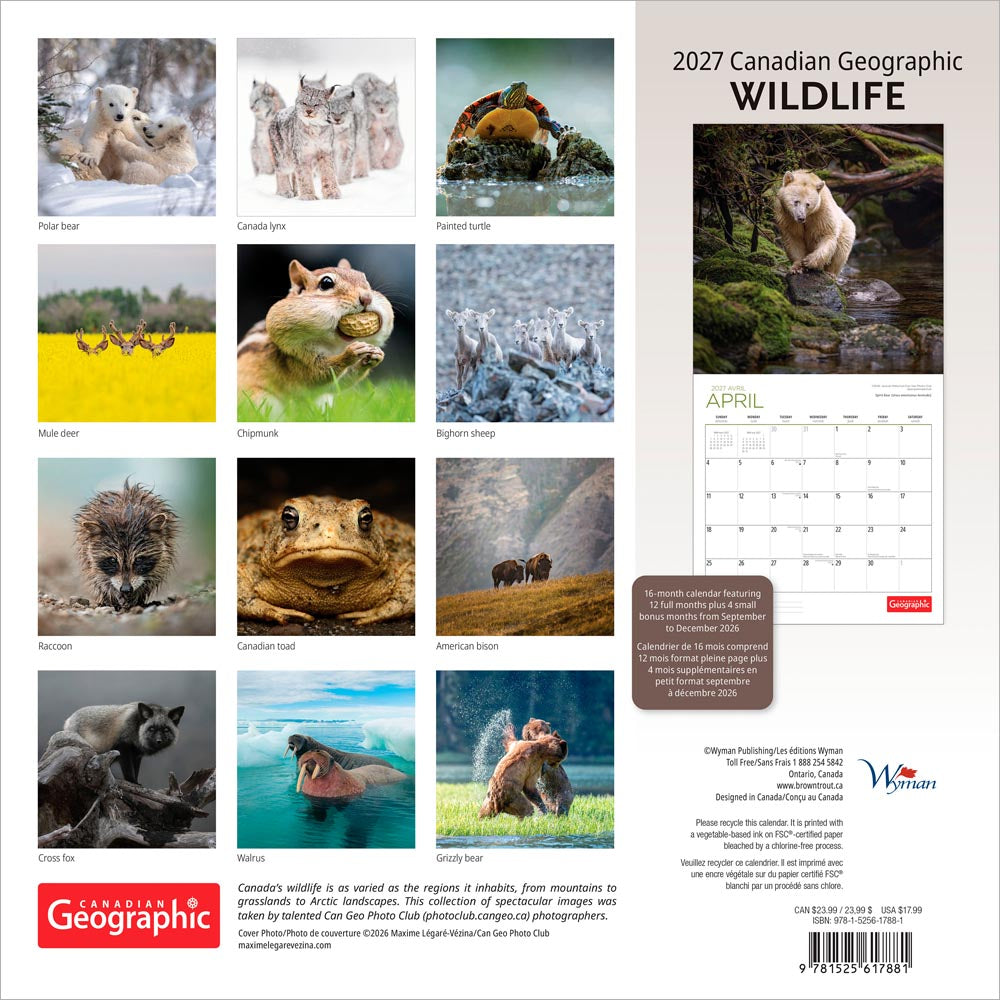 Canadian Geographic Wildlife OFFICIAL | 2027 12 x 24 Inch (Hanging) Monthly Square Wall Calendar | Foil Stamped Cover