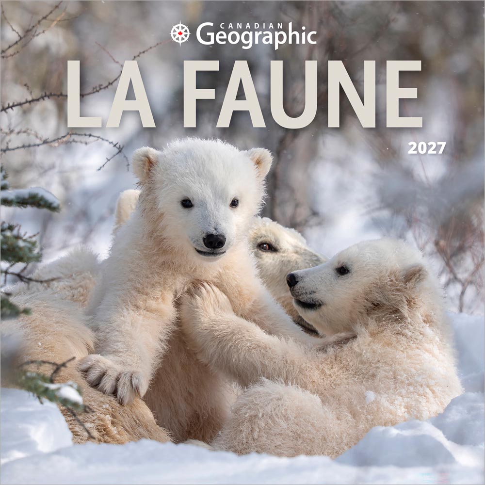 Canadian Geographic La faune OFFICIEL | 2027 7 x 14 Inch (Hanging) Monthly Mini Wall Calendar | French Language