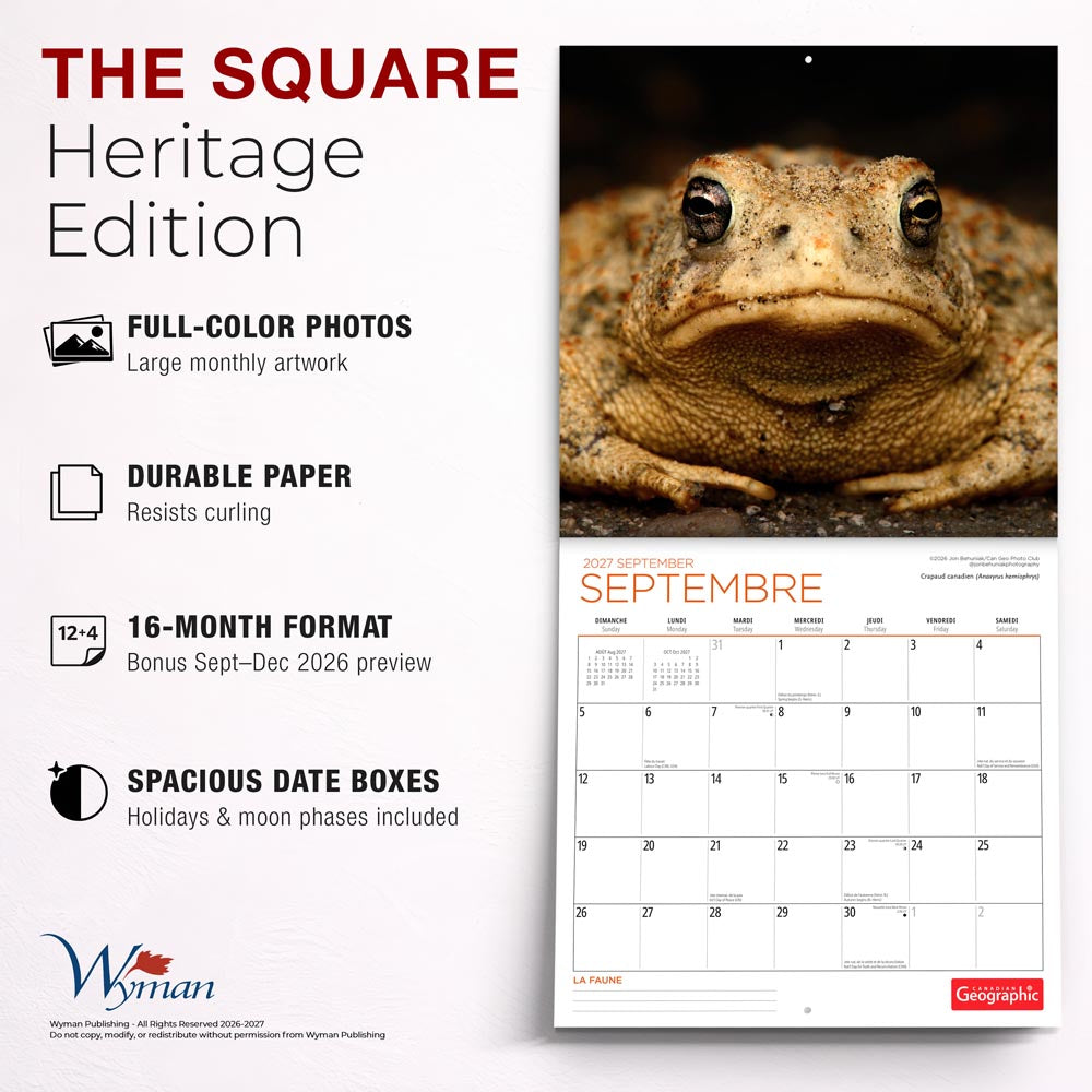 Canadian Geographic La faune OFFICIEL | 2027 12 x 24 Inch (Hanging) Monthly Square Wall Calendar | Foil Stamped Cover | French Language