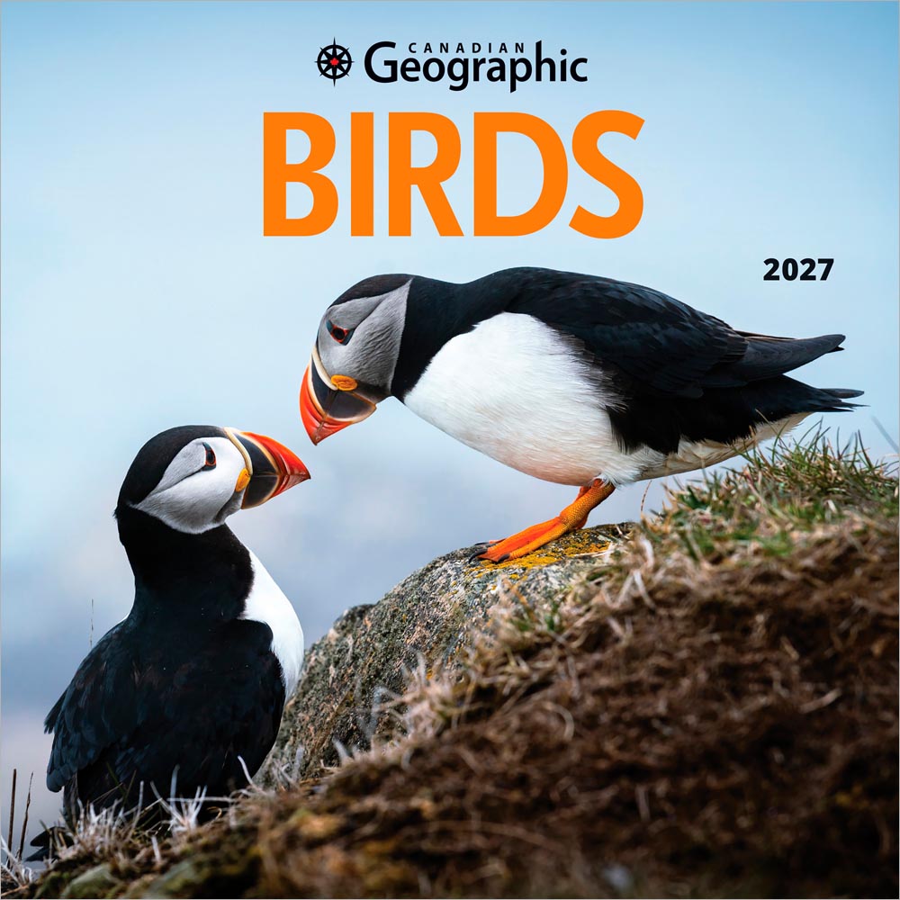 Canadian Geographic Birds OFFICIAL | 2027 7 x 14 Inch (Hanging) Monthly Mini Wall Calendar