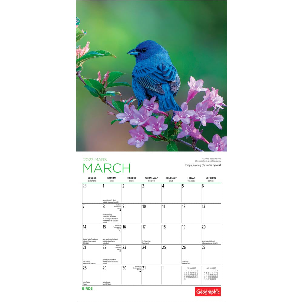 Canadian Geographic Birds OFFICIAL | 2027 7 x 14 Inch (Hanging) Monthly Mini Wall Calendar