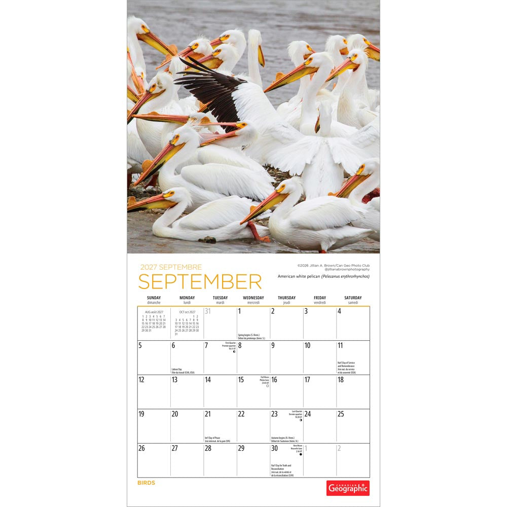 Canadian Geographic Birds OFFICIAL | 2027 7 x 14 Inch (Hanging) Monthly Mini Wall Calendar