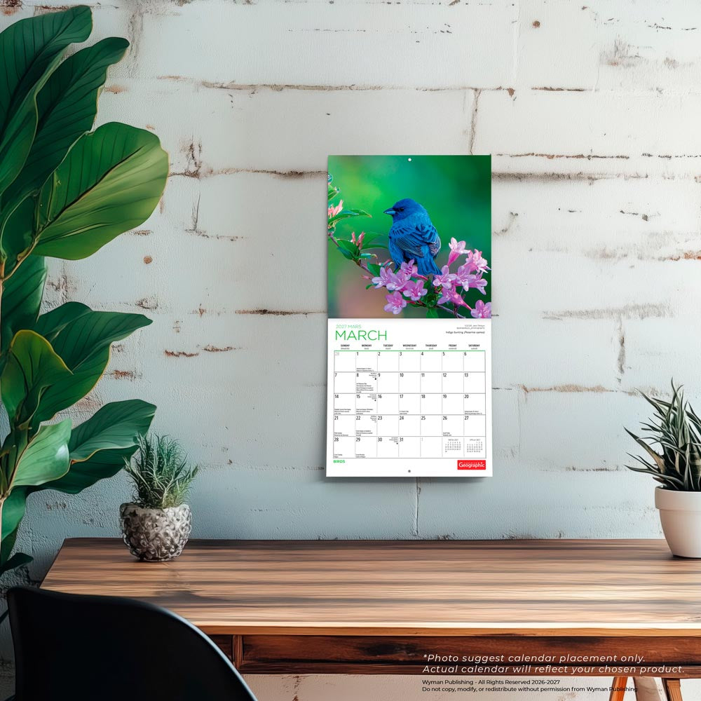 Canadian Geographic Birds OFFICIAL | 2027 7 x 14 Inch (Hanging) Monthly Mini Wall Calendar