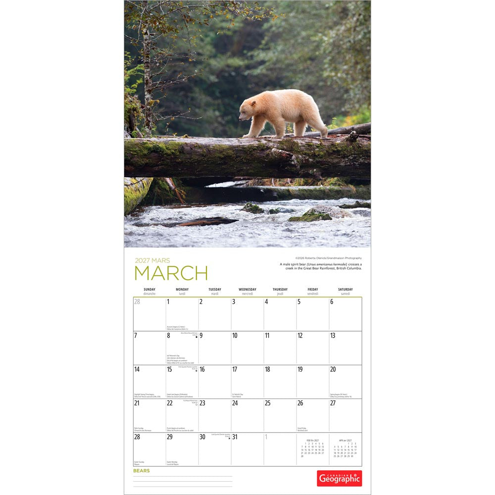 Canadian Geographic Bears OFFICIAL | 2027 12 x 24 Inch (Hanging) Monthly Square Wall Calendar