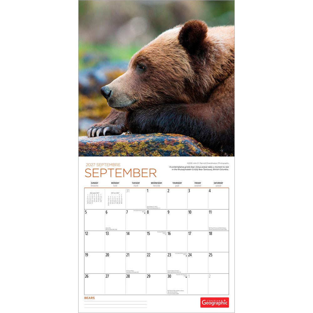 Canadian Geographic Bears OFFICIAL | 2027 12 x 24 Inch (Hanging) Monthly Square Wall Calendar