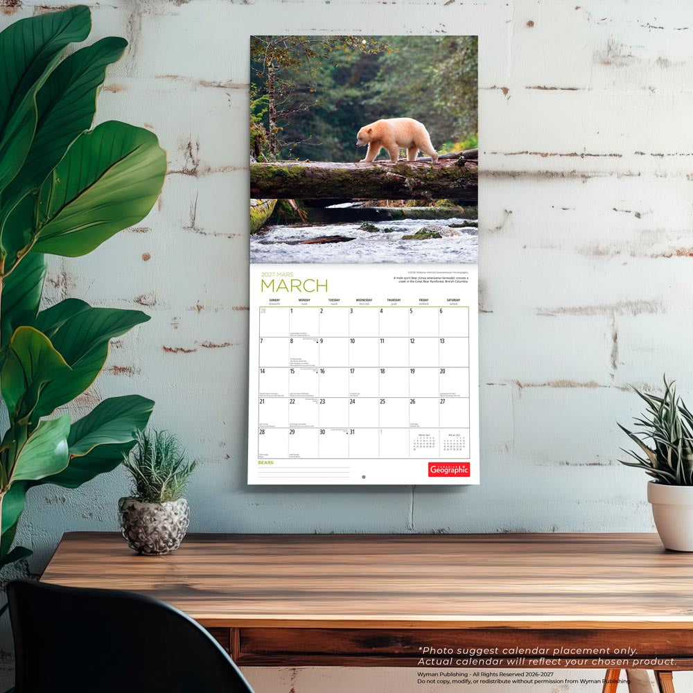 Canadian Geographic Bears OFFICIAL | 2027 12 x 24 Inch (Hanging) Monthly Square Wall Calendar