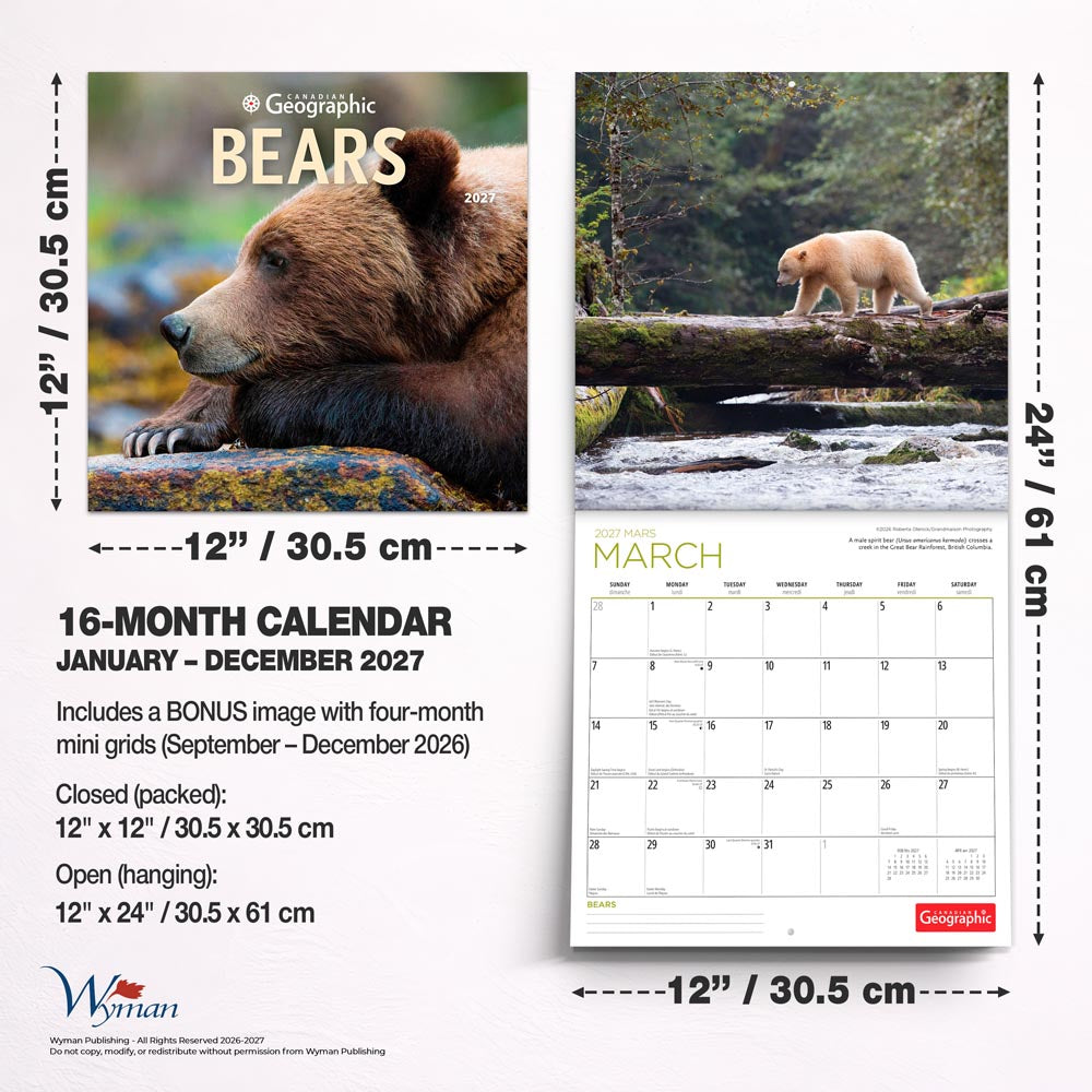 Canadian Geographic Bears OFFICIAL | 2027 12 x 24 Inch (Hanging) Monthly Square Wall Calendar