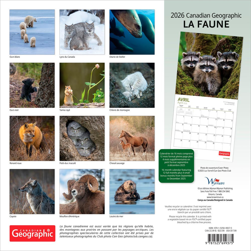 Canadian Geographic La faune OFFICIEL | 2026 12 x 24 Inch (Hanging) Monthly Square Wall Calendar | Foil Stamped Cover | French Language