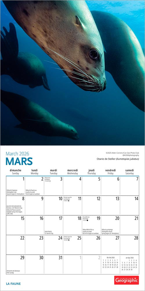Canadian Geographic La faune OFFICIEL | 2026 7 x 14 Inch (Hanging) Monthly Mini Wall Calendar | French Language