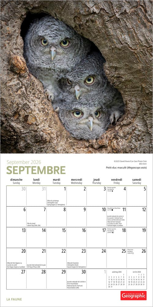 Canadian Geographic La faune OFFICIEL | 2026 7 x 14 Inch (Hanging) Monthly Mini Wall Calendar | French Language